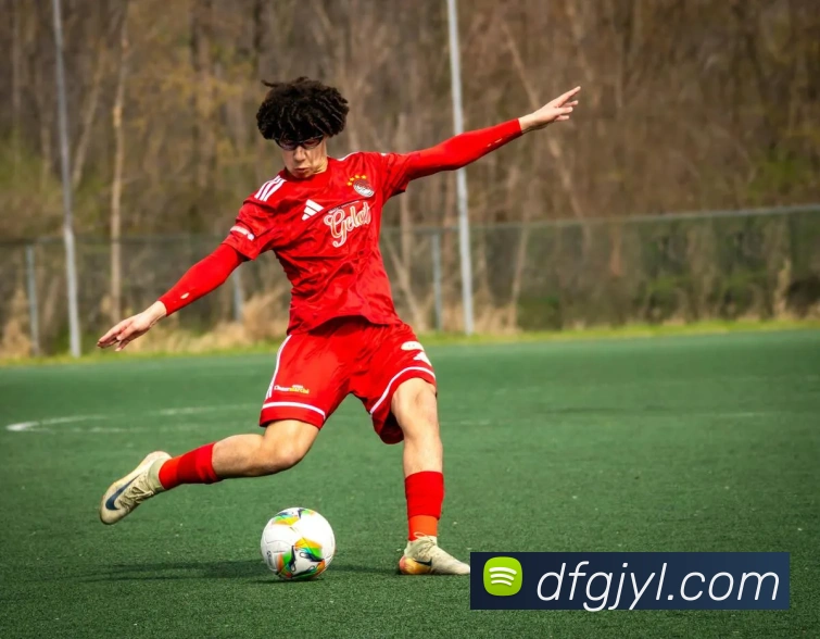 巅峰国际娱乐平台生态图