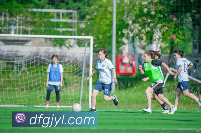 巅峰国际娱乐APP 封面图